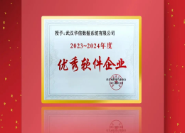 威客VK GAMING威客数据荣膺武汉市软件行业协会2023~2024年度优秀软件企业称号