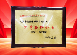 喜讯丨威客VK GAMING威客数据获评2024~2025年度武汉市软件行业&ldquo;优秀企业&rdquo;、&ldquo;优秀工作者&rdquo;荣誉称号！